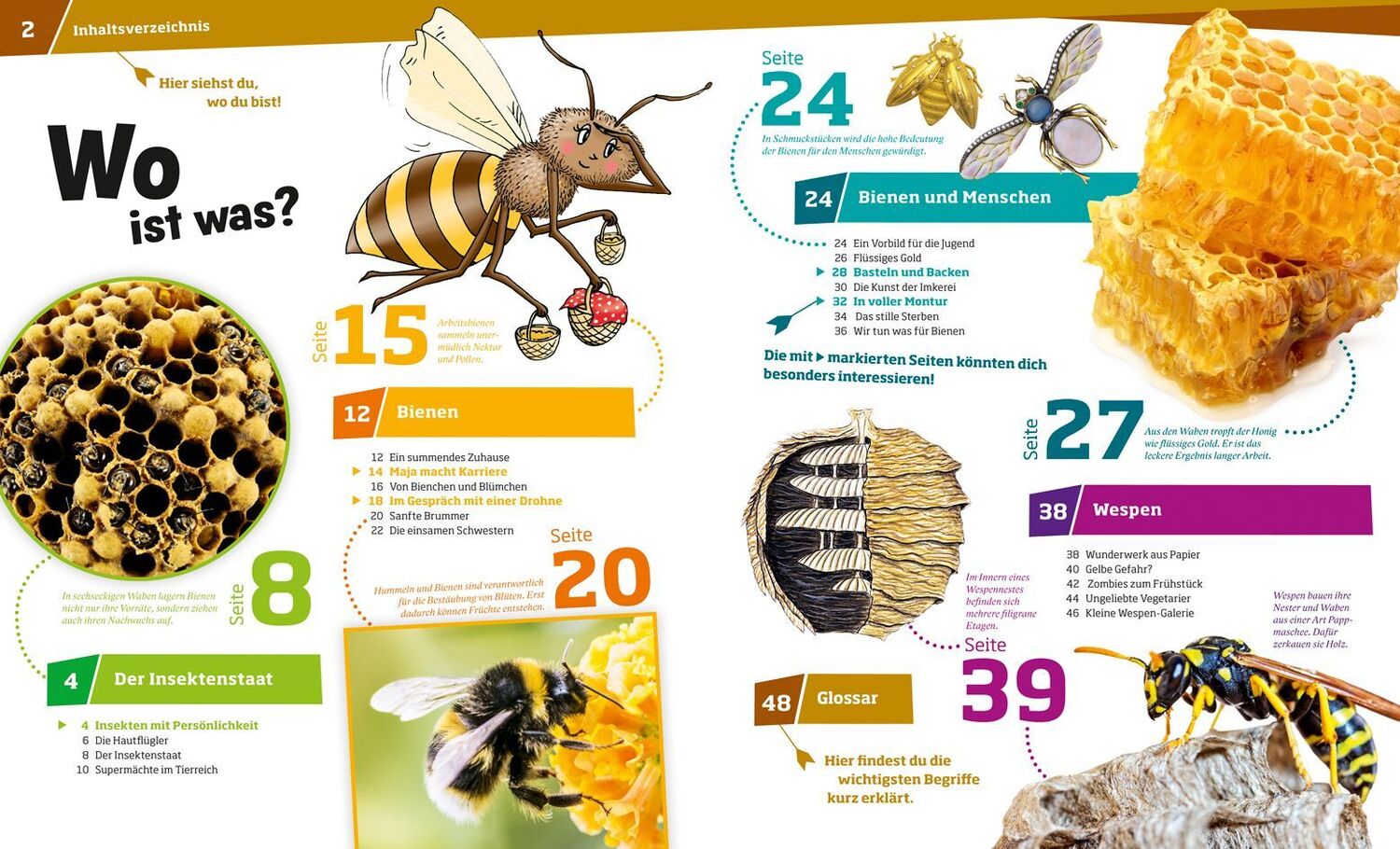 Bild: 9783788620721 | WAS IST WAS Band 19 Bienen und Wespen | Alexandra Rigos | Buch | 2024