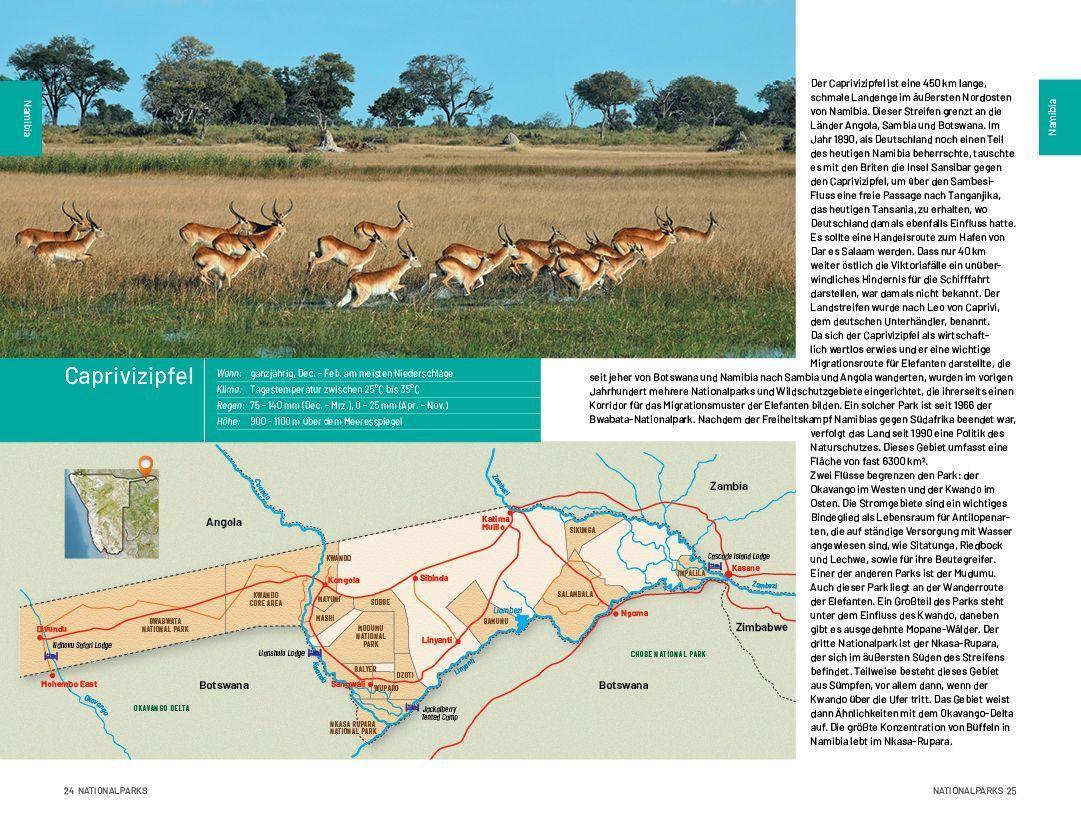 Bild: 9789082208405 | Safari-Reiseführer Südliches Afrika | Ruud Troost | Taschenbuch | 2023