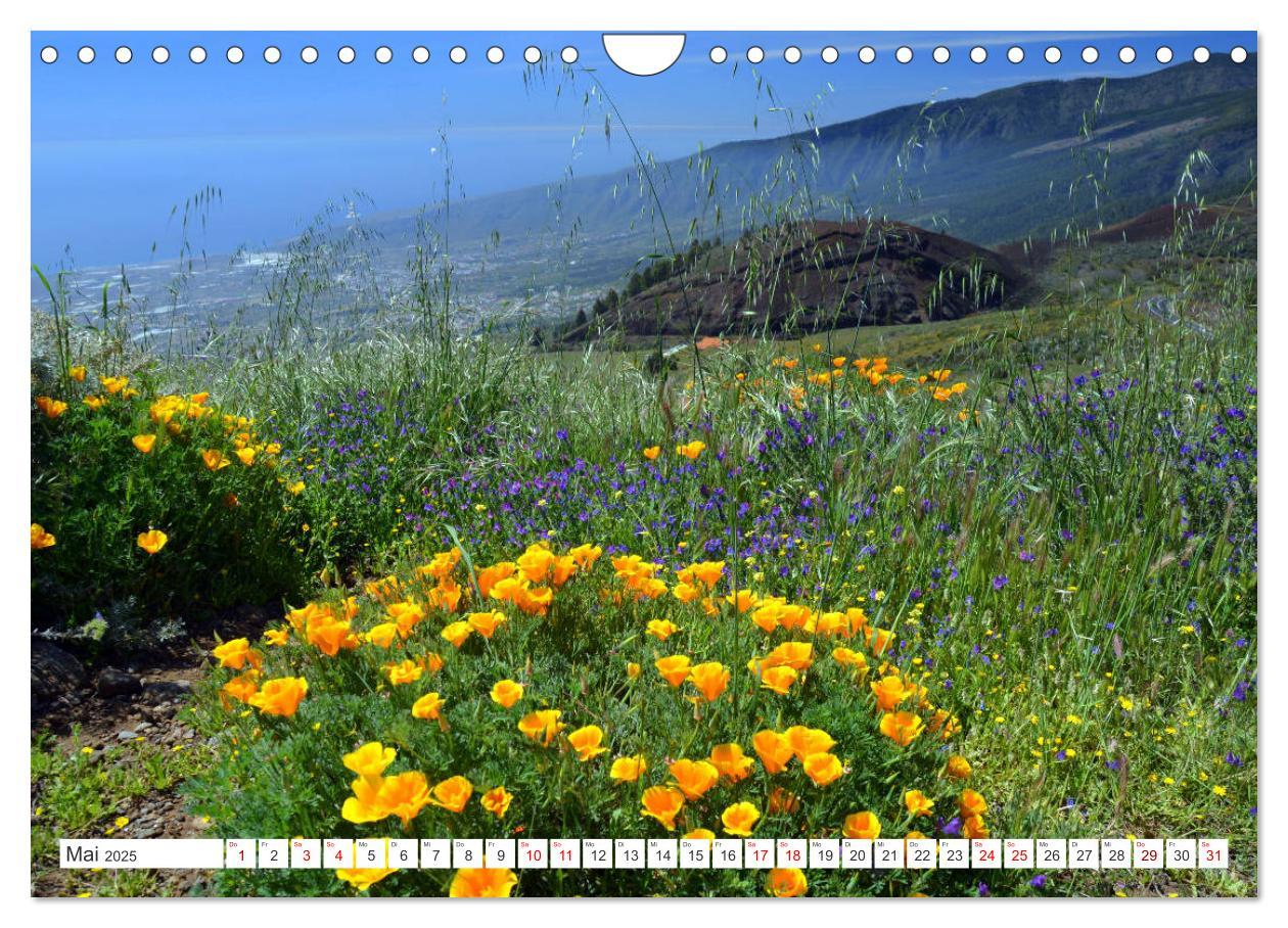 Bild: 9783457222508 | Teneriffa - Insel der Glückseligen (Wandkalender 2025 DIN A4 quer),...