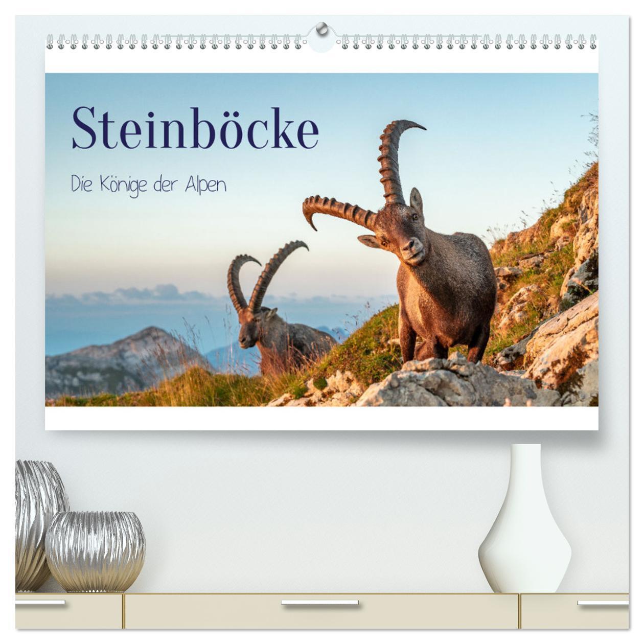 Cover: 9783675691438 | Steinböcke - Die Könige der Alpen (hochwertiger Premium...