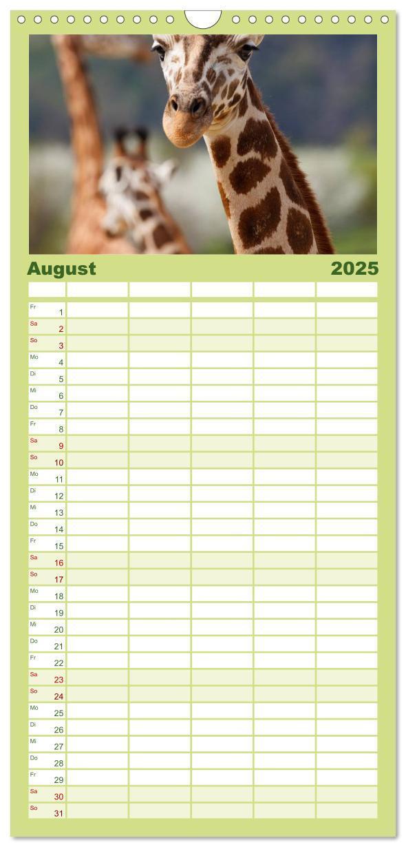 Bild: 9783457110126 | Familienplaner 2025 - Giraffen mit 5 Spalten (Wandkalender, 21 x 45...