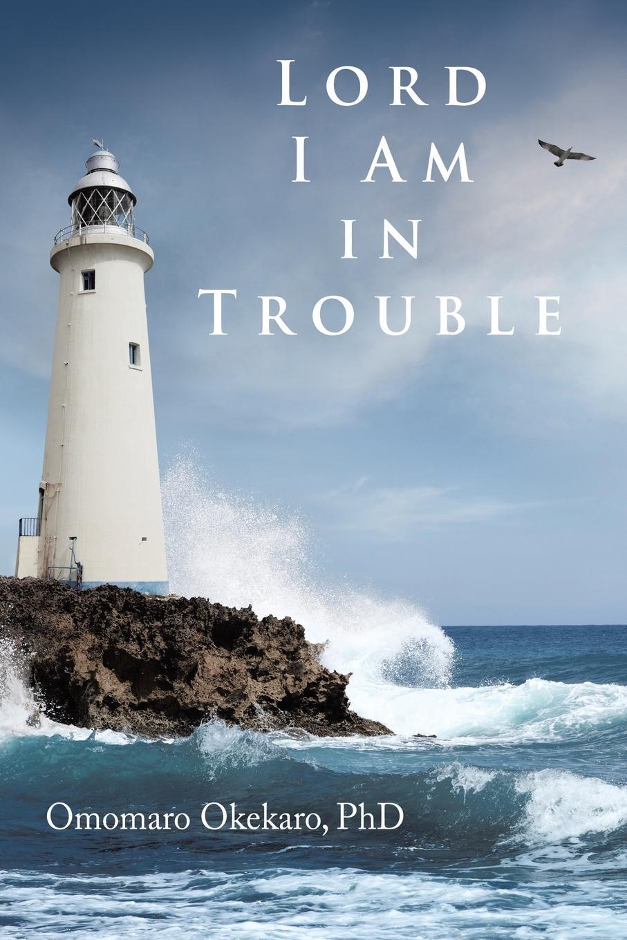 Cover: 9781663258847 | Lord I Am in Trouble | Omomaro Okekaro | Taschenbuch | Paperback