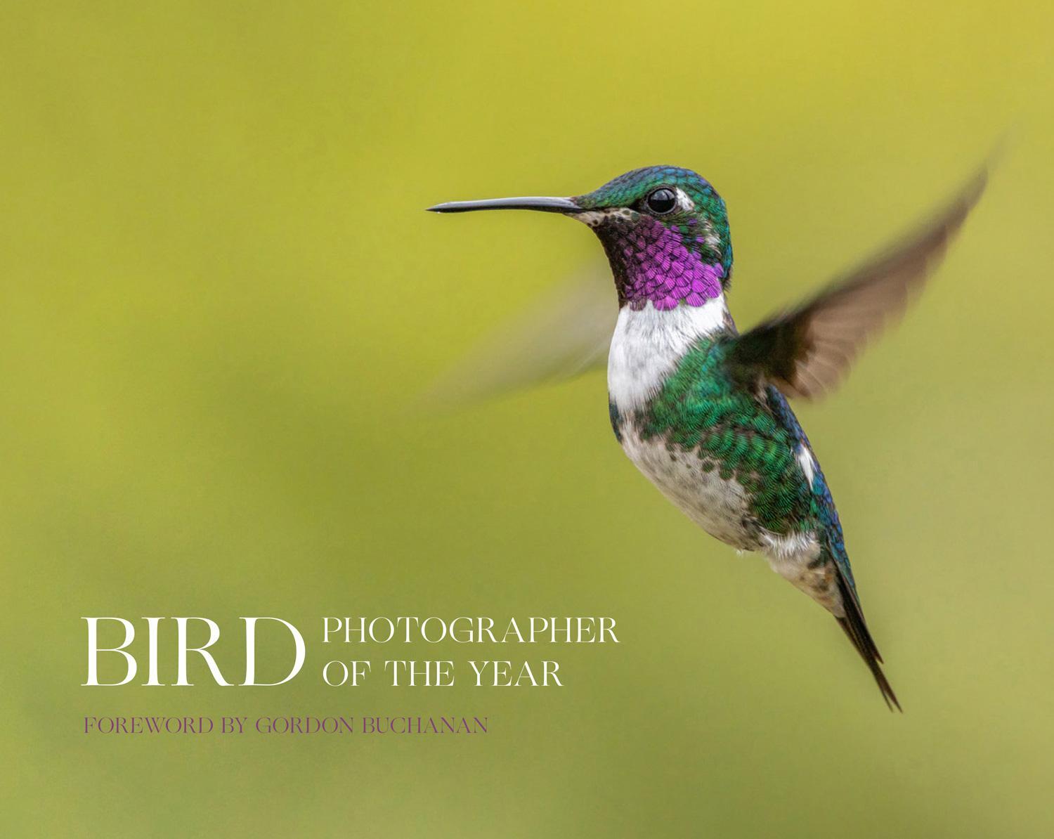 Cover: 9780008649968 | Bird Photographer of the Year | Bird Photographer of the Year | Buch