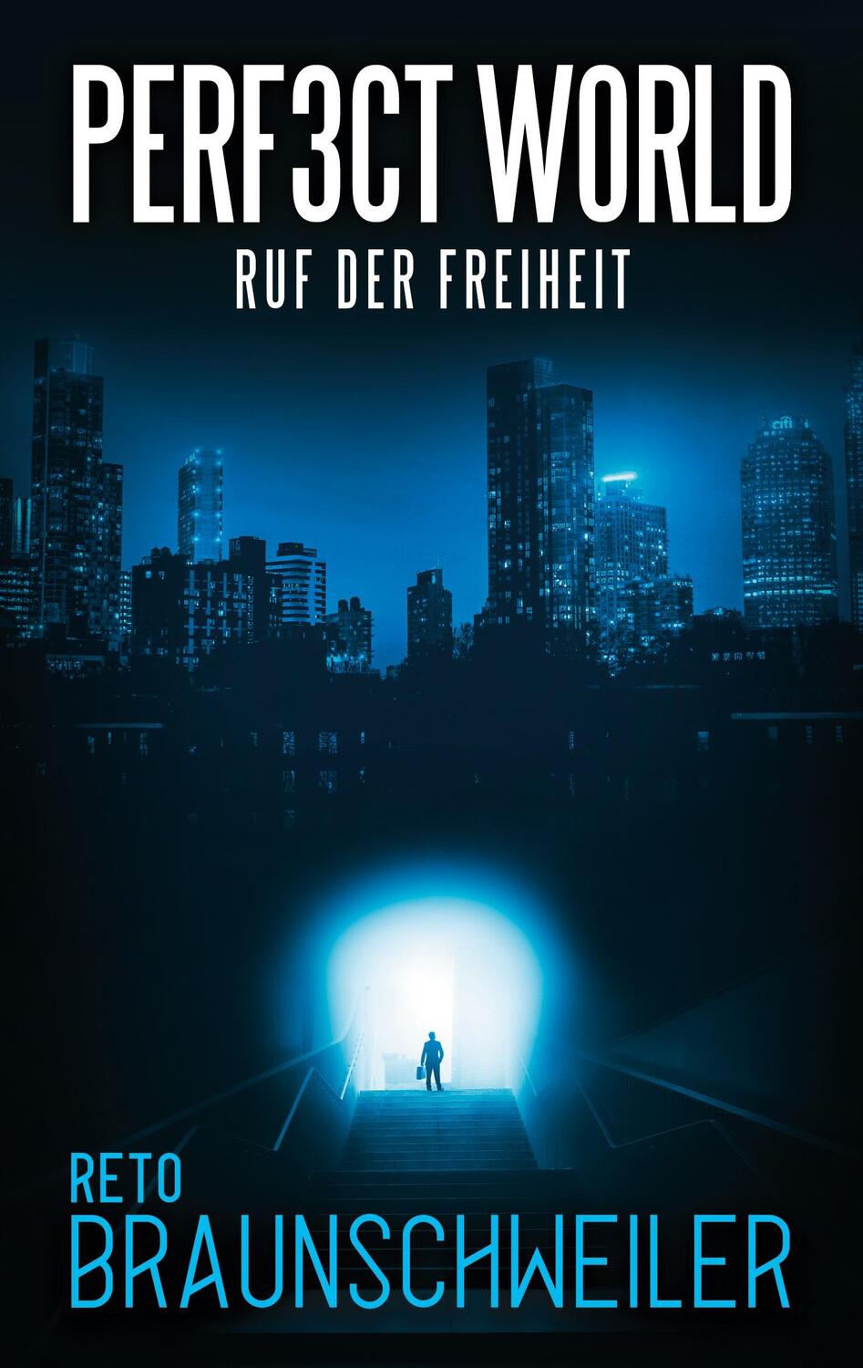 Cover: 9783751983051 | Perfect World | Ruf der Freiheit | Reto Braunschweiler | Taschenbuch