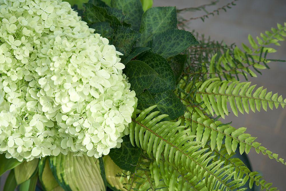 Bild: 9783965631151 | GREEN | Floraldesign mit Blatt und Blüte | Klaus Wagener (u. a.)