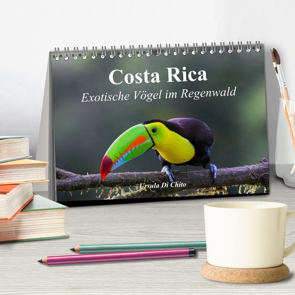 Bild: 9783435618668 | Costa Rica - Exotische Vögel im Regenwald (Tischkalender 2025 DIN...