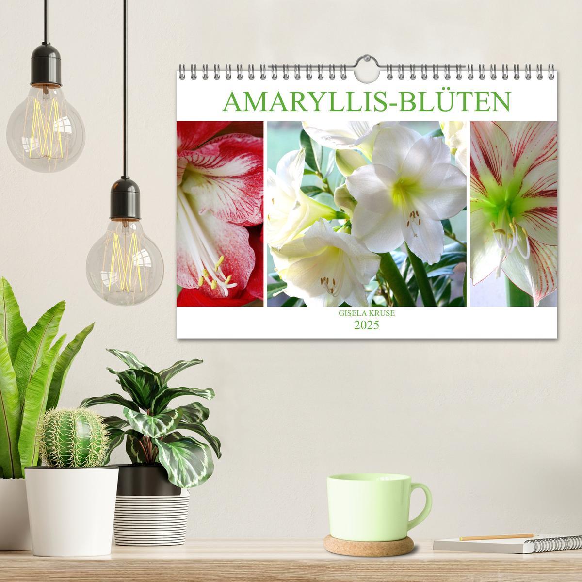 Bild: 9783435382958 | Amaryllis-Blüten (Wandkalender 2025 DIN A4 quer), CALVENDO...