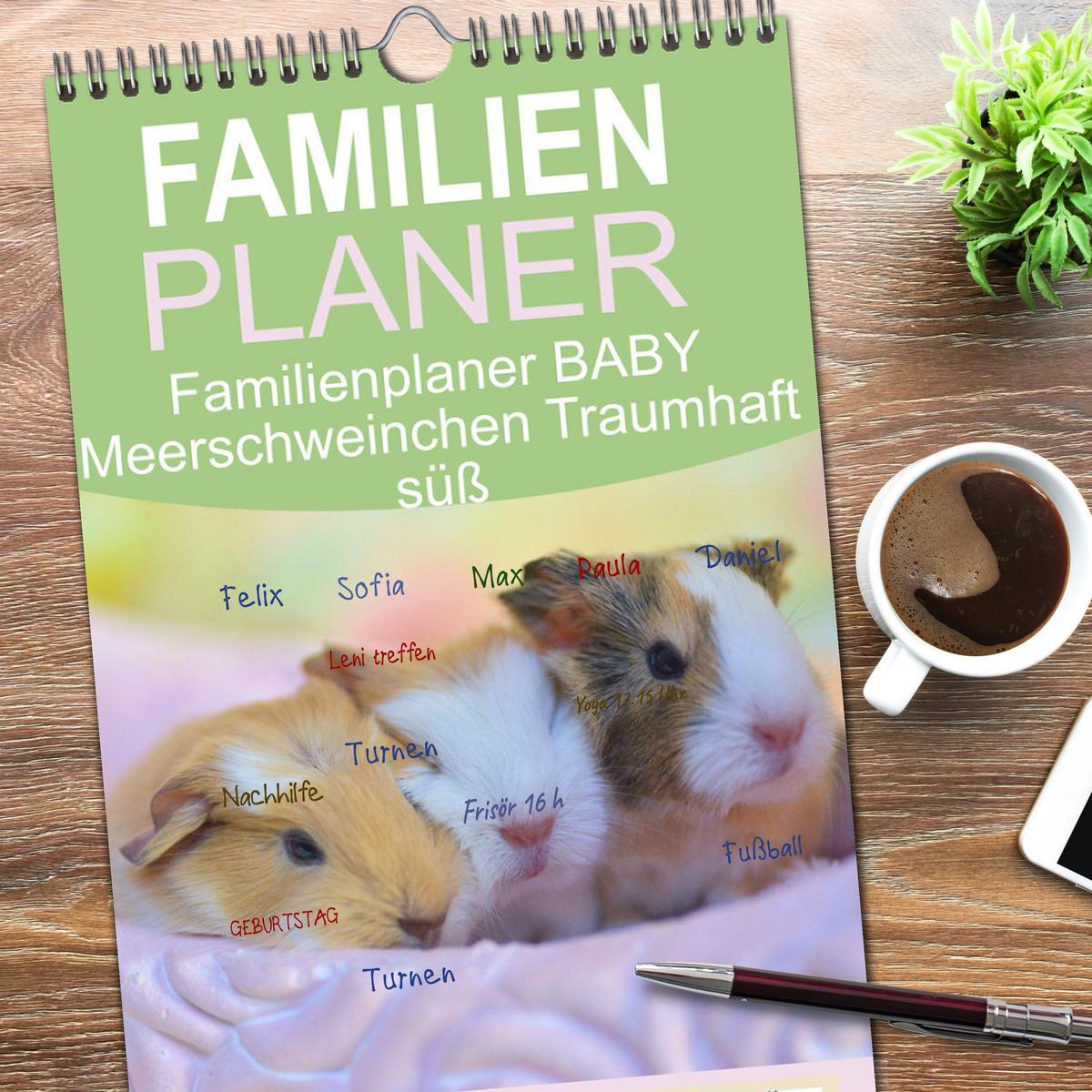 Bild: 9783457102923 | Familienplaner 2025 - Familienplaner BABY Meerschweinchen Traumhaft...