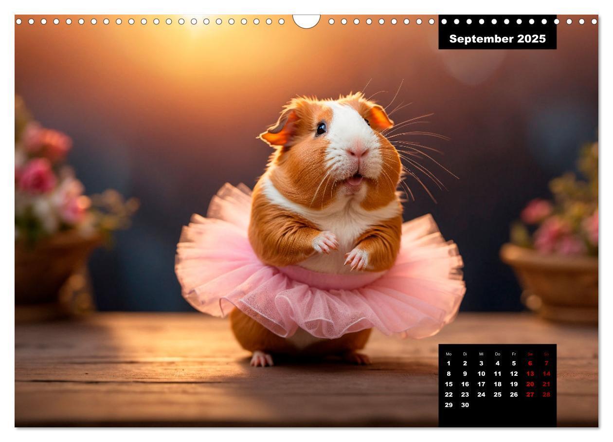 Bild: 9783435012527 | Meerschweinchen mal anders! (Wandkalender 2025 DIN A3 quer),...