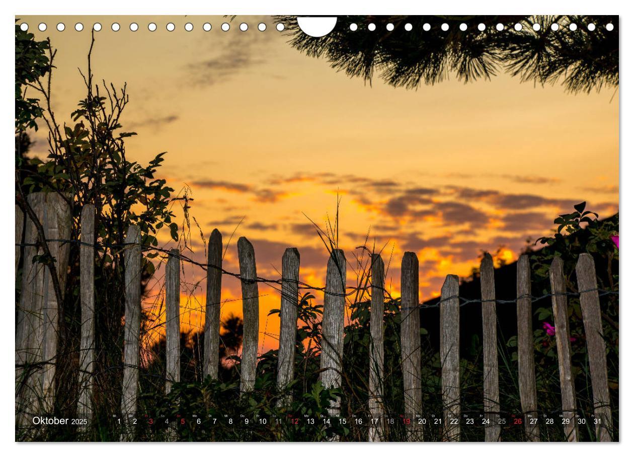 Bild: 9783435271870 | Amrum Insel am Wattenmeer (Wandkalender 2025 DIN A4 quer), CALVENDO...