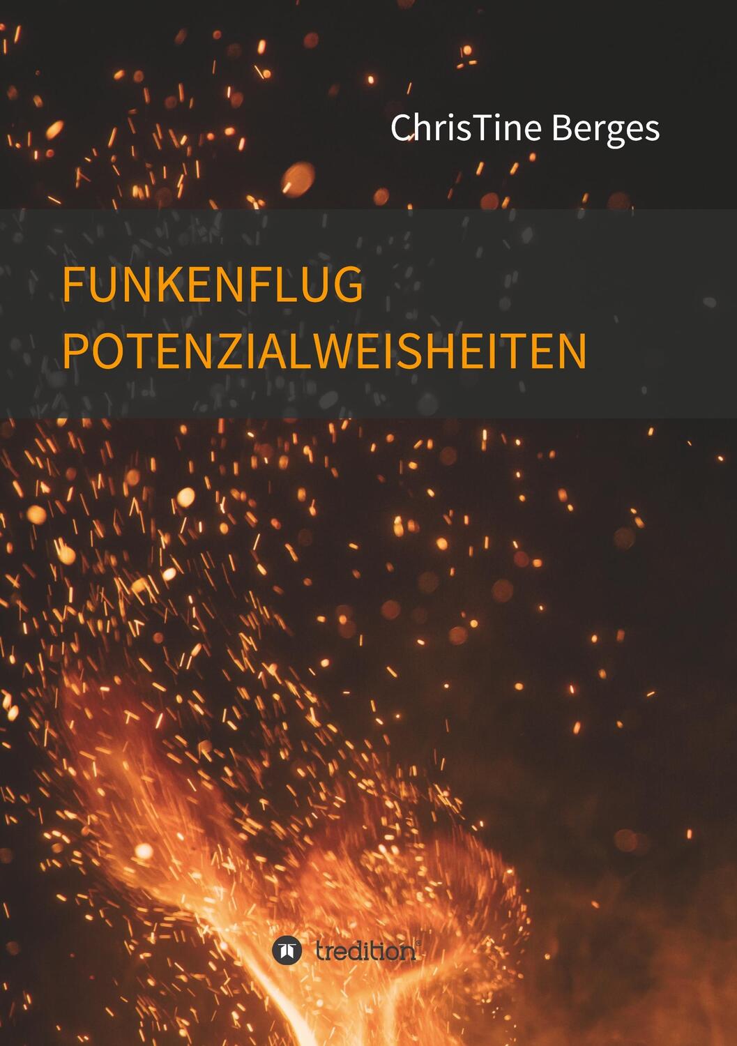 Cover: 9783749779420 | Funkenflug Potenzialweisheiten | Christine Berges | Taschenbuch | 2020