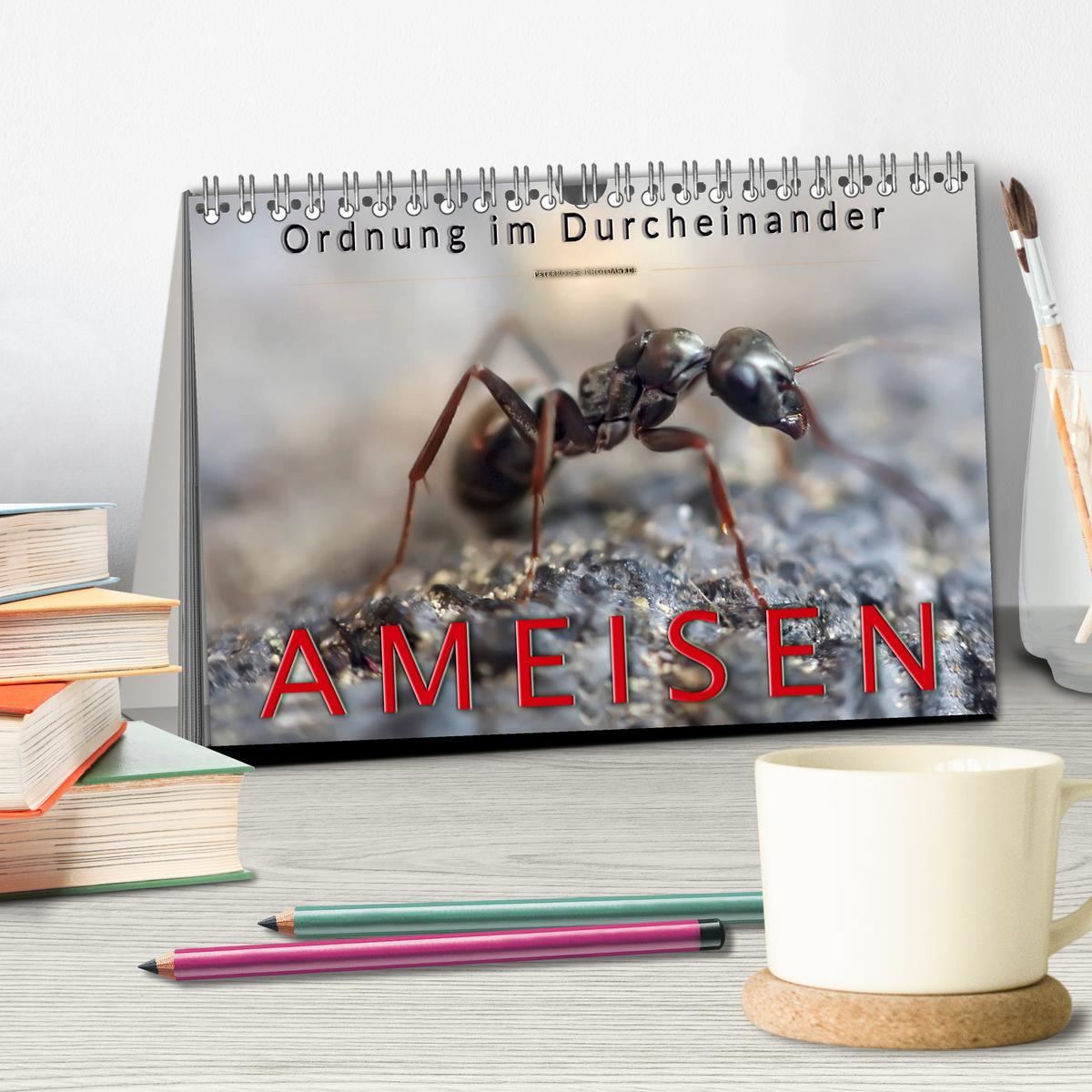 Bild: 9783435352982 | Ameisen - Ordnung im Durcheinander (Tischkalender 2025 DIN A5...