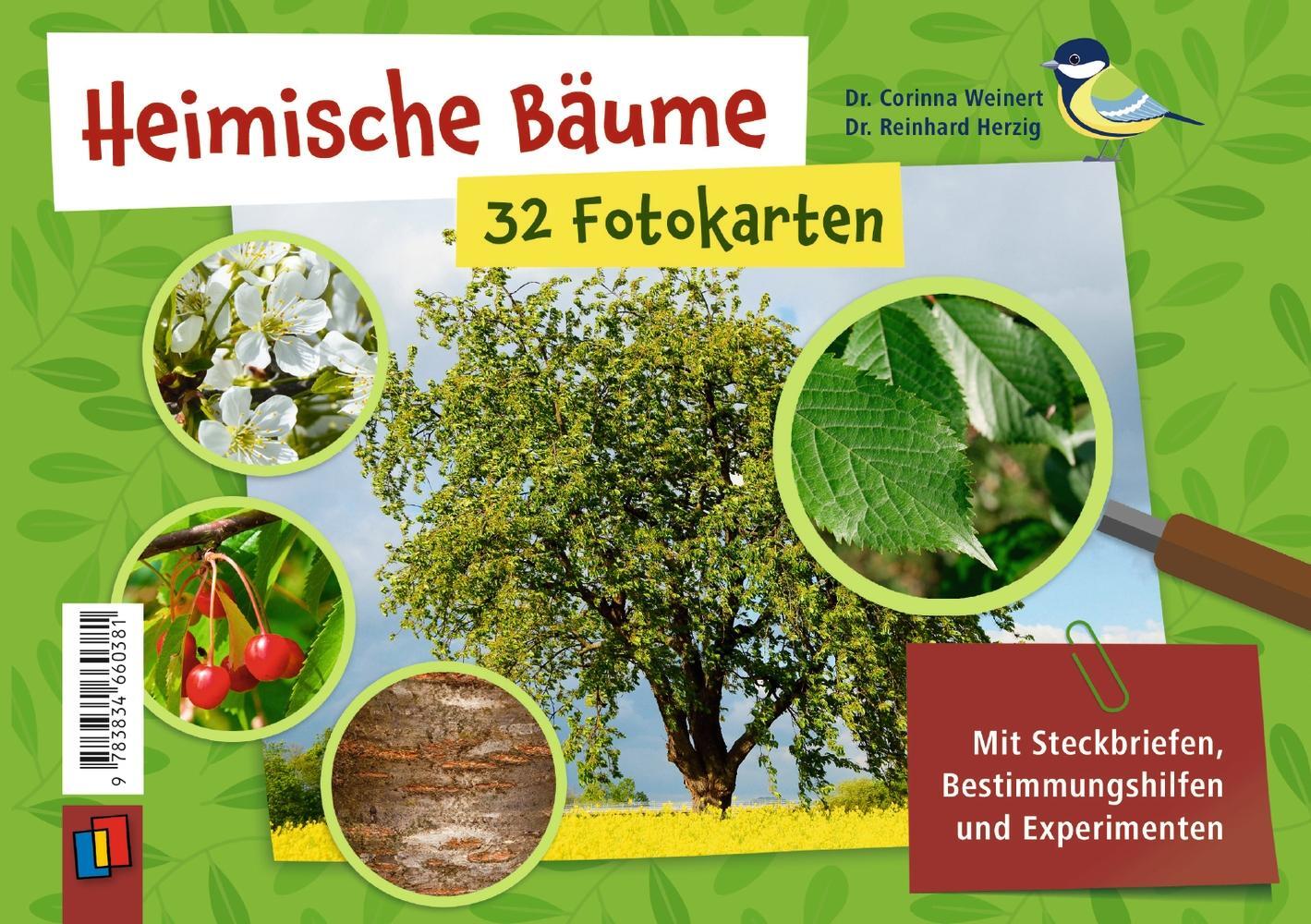 Cover: 9783834660381 | Heimische Bäume  32 Fotokarten | Corinna Weinert (u. a.) | Box | 2022