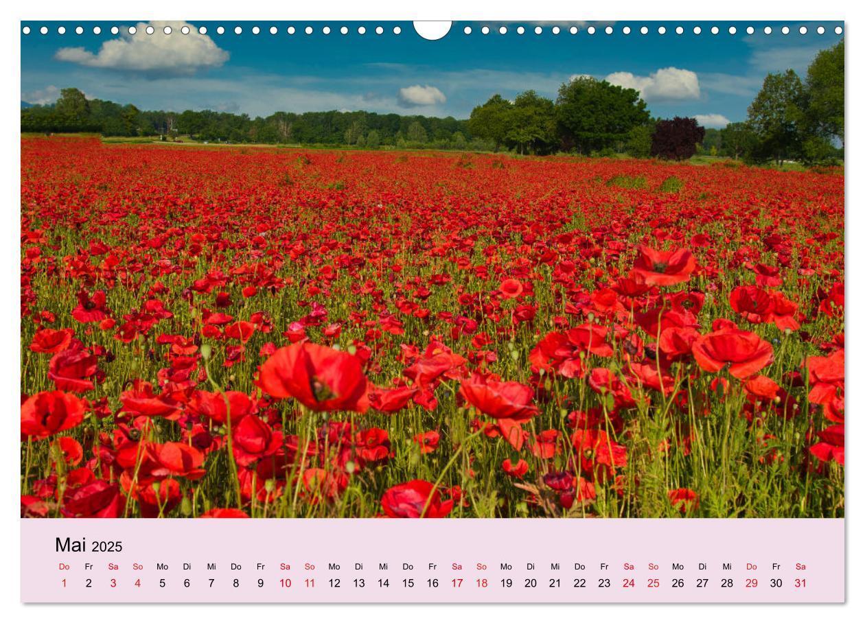 Bild: 9783383794285 | Augenblicke im Kaiserstuhl (Wandkalender 2025 DIN A3 quer),...