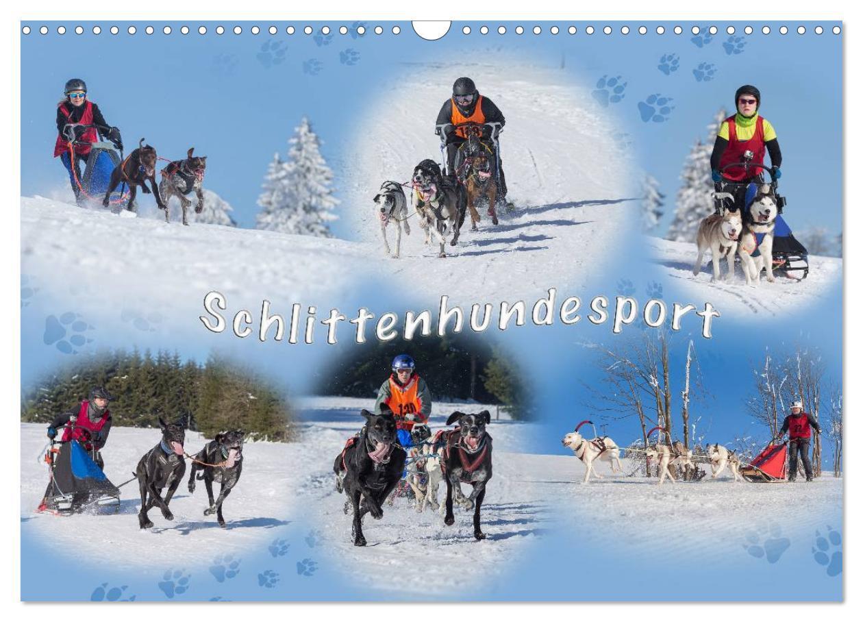 Cover: 9783383401817 | Schlittenhundesport (Wandkalender 2024 DIN A3 quer), CALVENDO...
