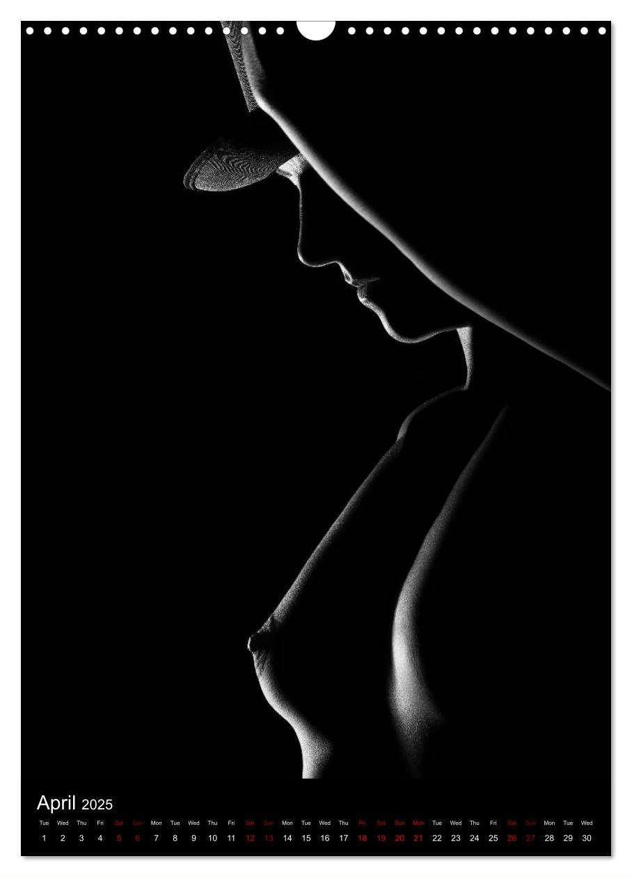 Bild: 9781325972951 | erotic shadows 2025 (Wall Calendar 2025 DIN A3 portrait), CALVENDO...