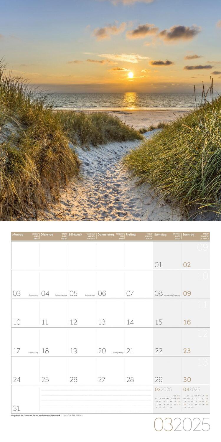 Bild: 9783838445045 | Traumpfade Kalender 2025 - 30x30 | Ackermann Kunstverlag | Kalender