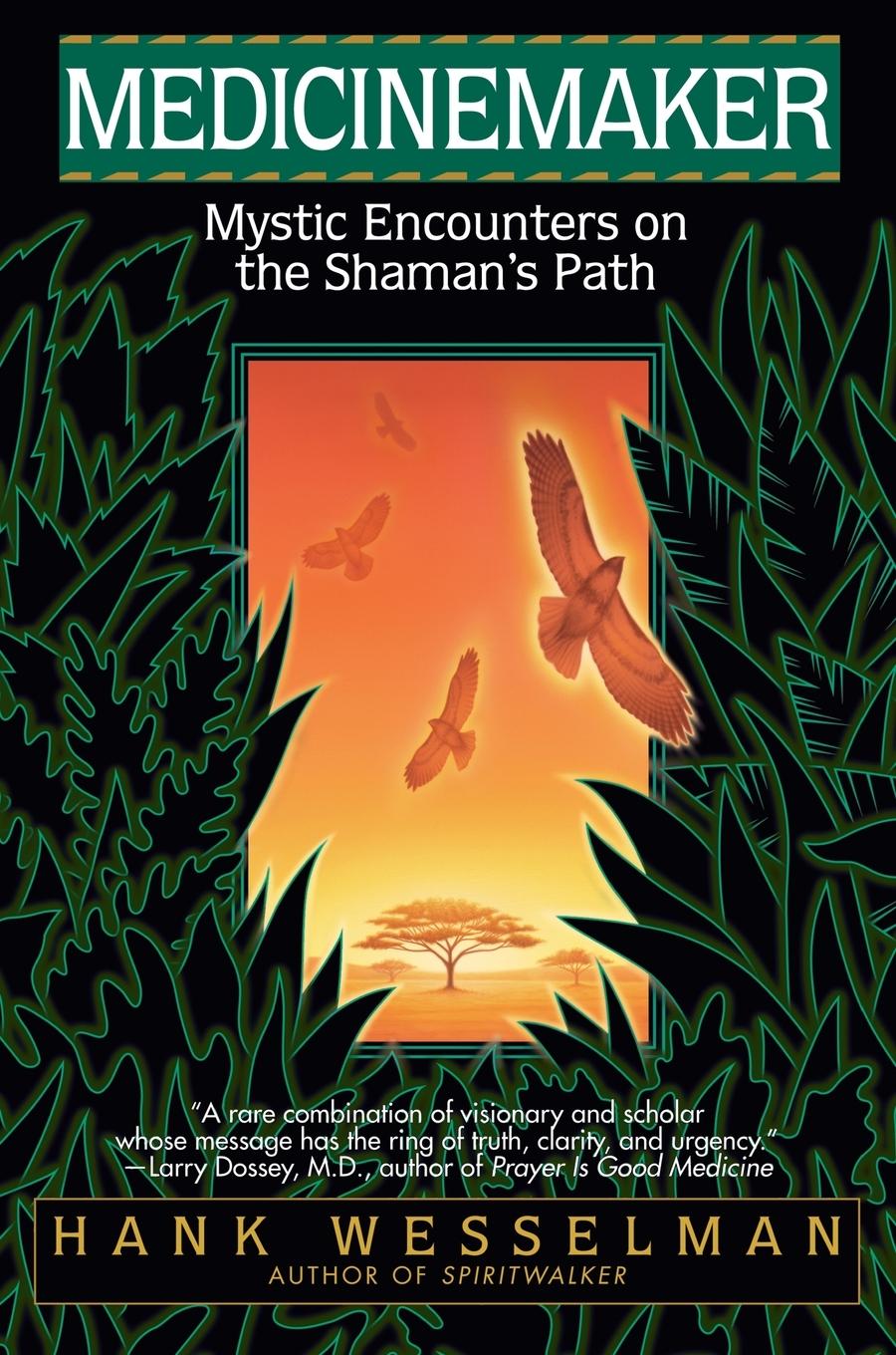 Cover: 9780553379327 | Medicinemaker | Mystic Encounters on the Shaman's Path | Wesselman