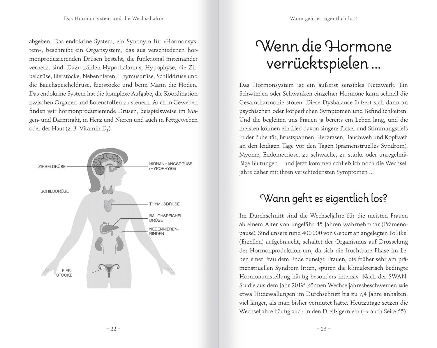 Bild: 9783863745875 | Meno-Balance. Mit gutem Gefühl durch die Wechseljahre | Petra Neumayer