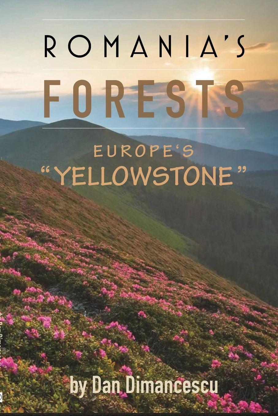 Cover: 9781716075612 | ROMANIA'S FORESTS | Europe's "Yellowstone" | Dan Dimancescu | Buch