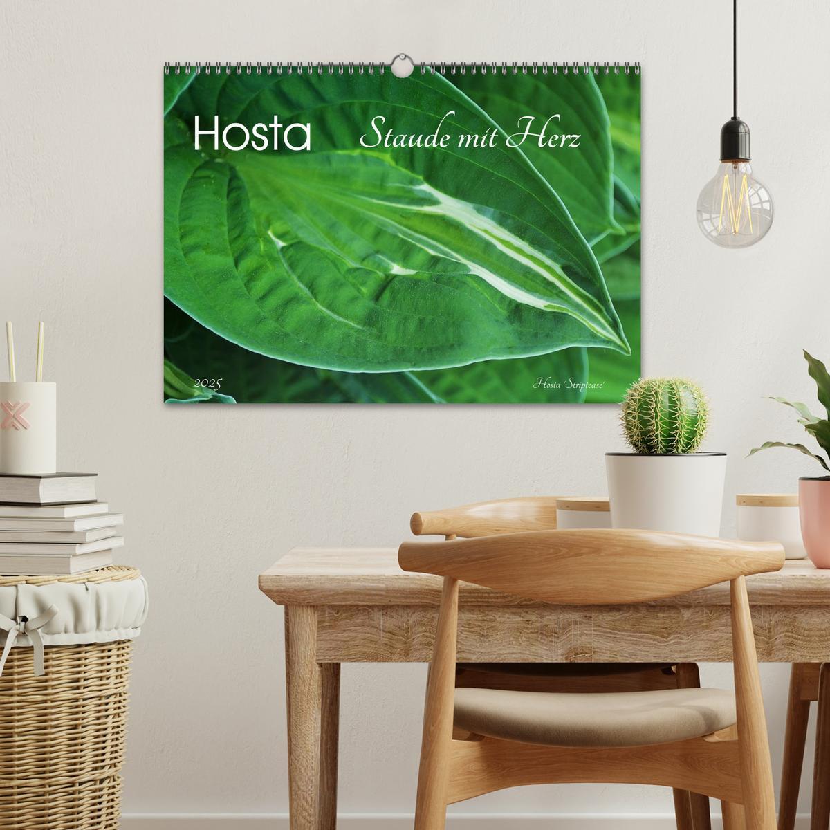 Bild: 9783435576388 | Hosta Staude mit Herz (Wandkalender 2025 DIN A3 quer), CALVENDO...