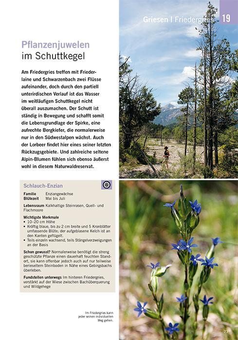 Bild: 9783981460544 | Die schönsten Blüten-Wanderungen in Oberbayern &amp; Tirol 02 | Reimer