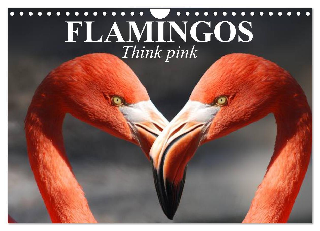Cover: 9781325895472 | Flamingos Think pink (Wall Calendar 2024 DIN A4 landscape),...