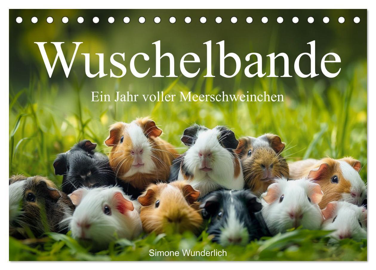 Cover: 9783383812378 | Wuschelbande - Ein Jahr voller Meerschweinchen (Tischkalender 2025...