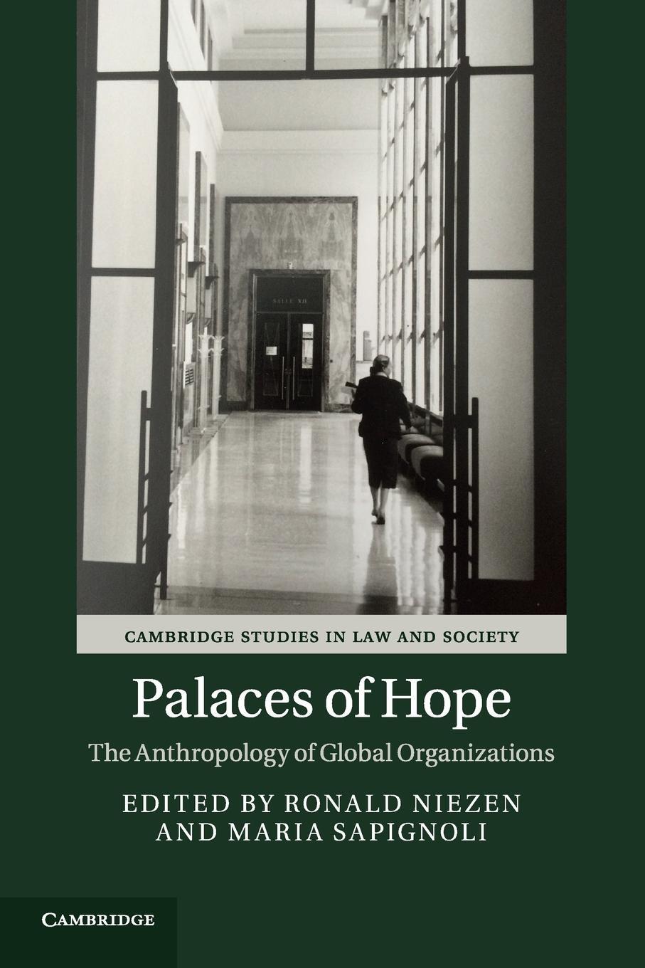 Cover: 9781107566361 | Palaces of Hope | Maria Sapignoli | Taschenbuch | Paperback | Englisch