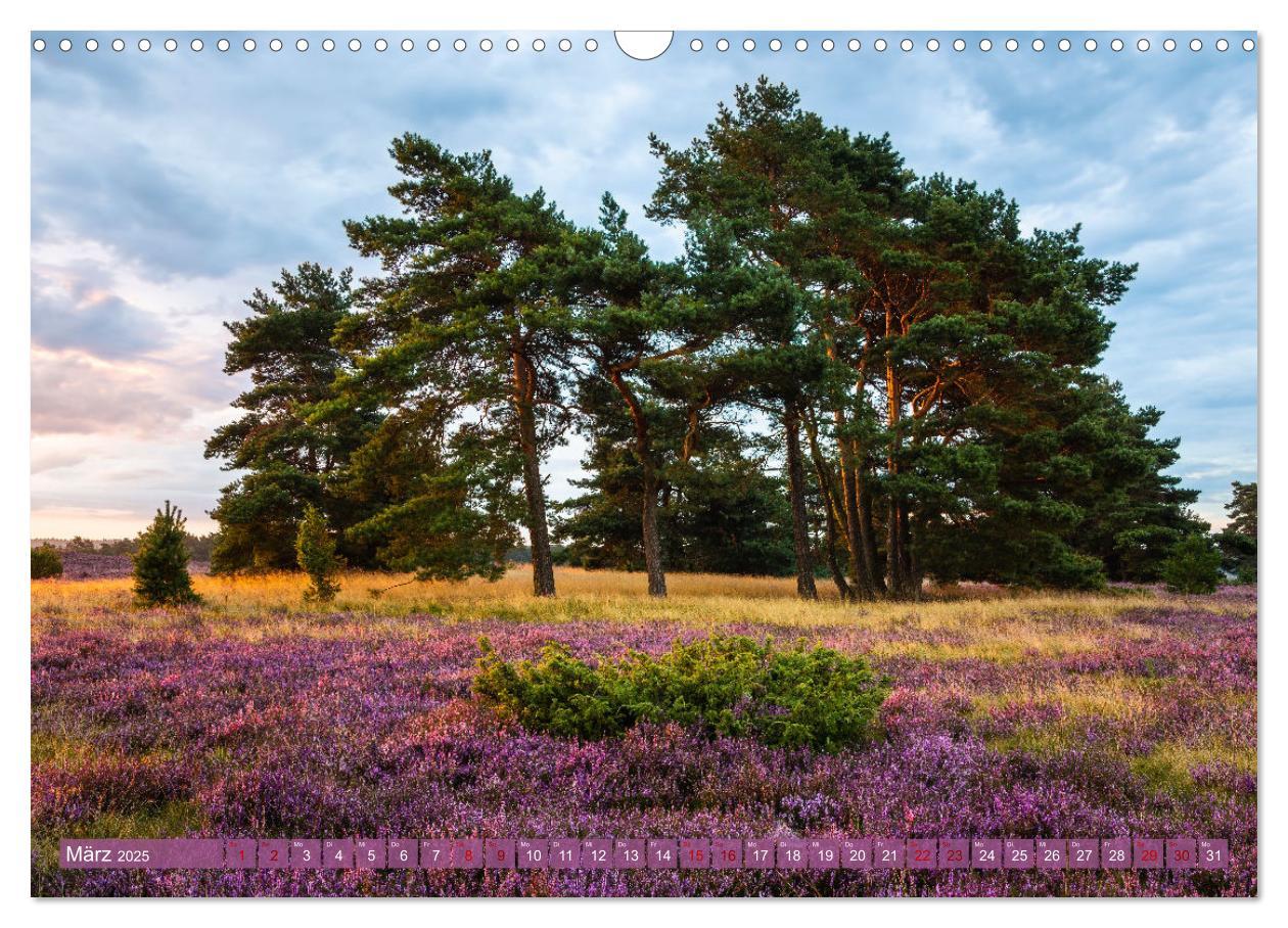 Bild: 9783383960222 | Romantische Heideblüte (Wandkalender 2025 DIN A3 quer), CALVENDO...