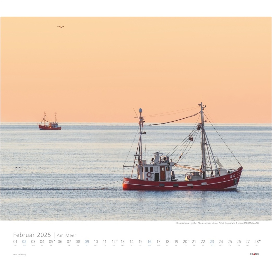 Bild: 9783964023094 | Am Meer Edition Kalender 2025 - Sand, Wind und Wellen | Kalender