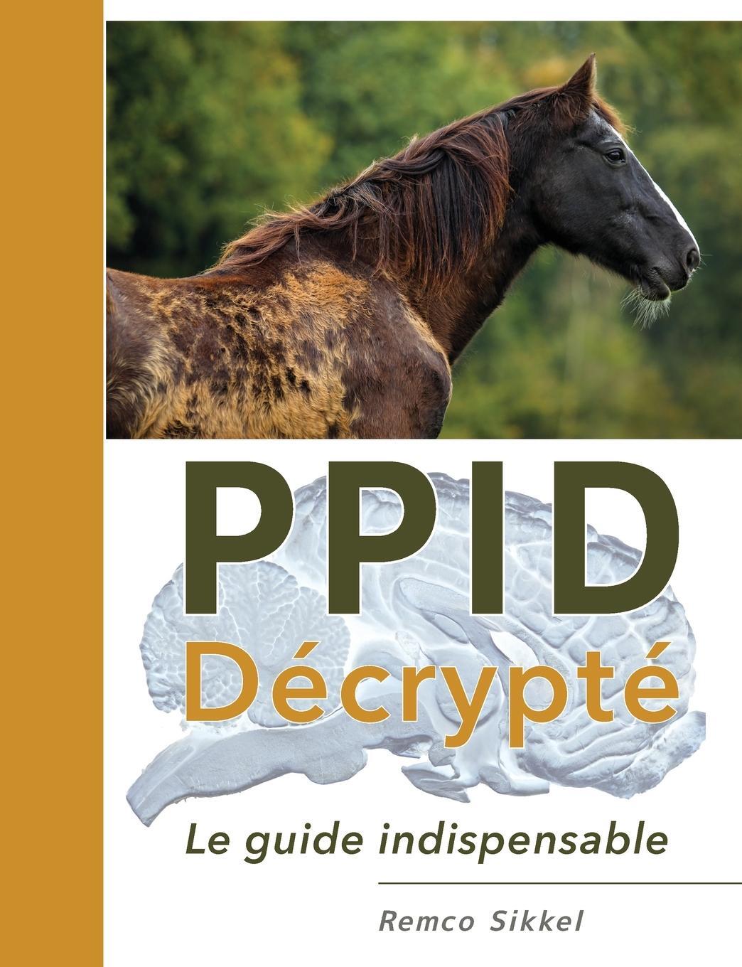 Cover: 9789493034150 | PPID Décrypté | le guide indispensable | Remco Sikkel | Taschenbuch