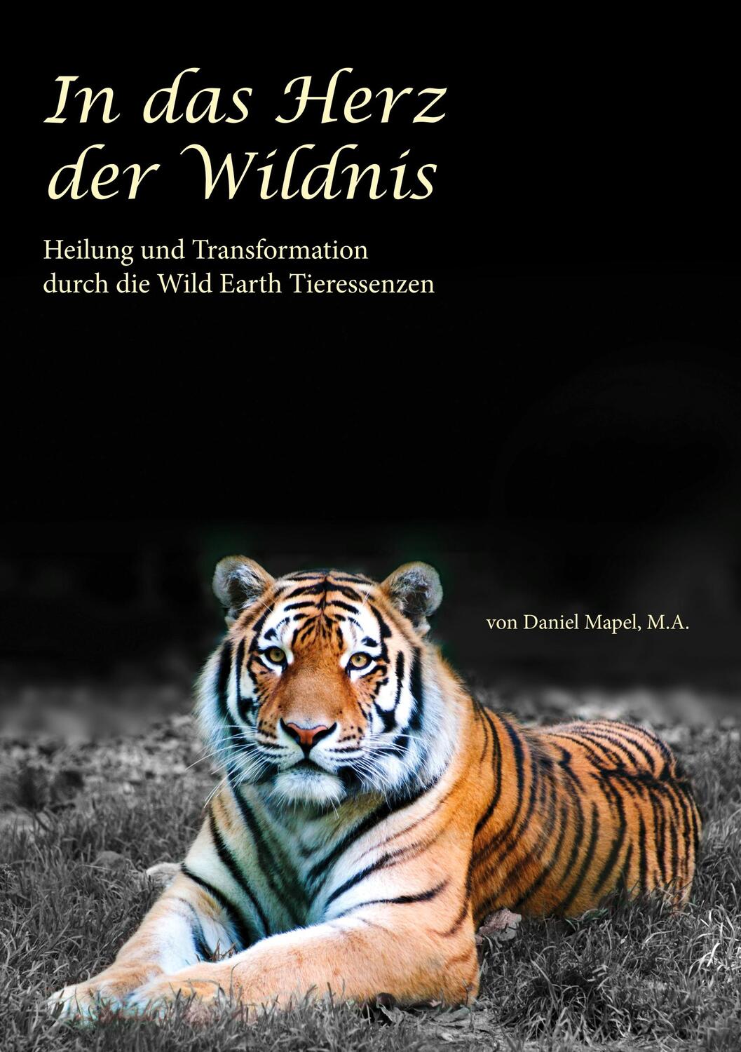 Cover: 9783839107201 | In das Herz der Wildnis | Daniel Mapel | Taschenbuch | Books on Demand