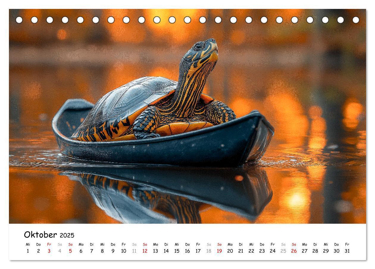 Bild: 9783457215890 | CHILL MAL - Entspannte Schildkröten beim Faulenzen (Tischkalender...