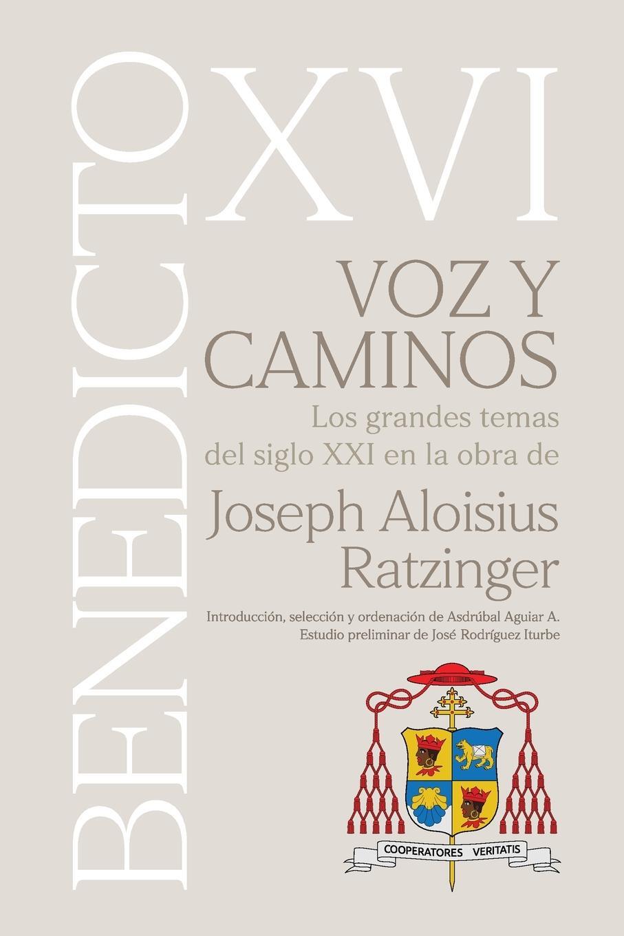 Cover: 9798893428520 | VOZ Y CAMINOS. Los grandes temas del siglo XXI en la obra de Joseph...