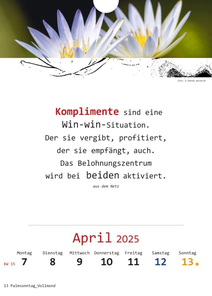 Bild: 9783948276348 | Ich-Kalender 2025 | Kalender | 54 S. | Deutsch | 2025 | Vision Creativ