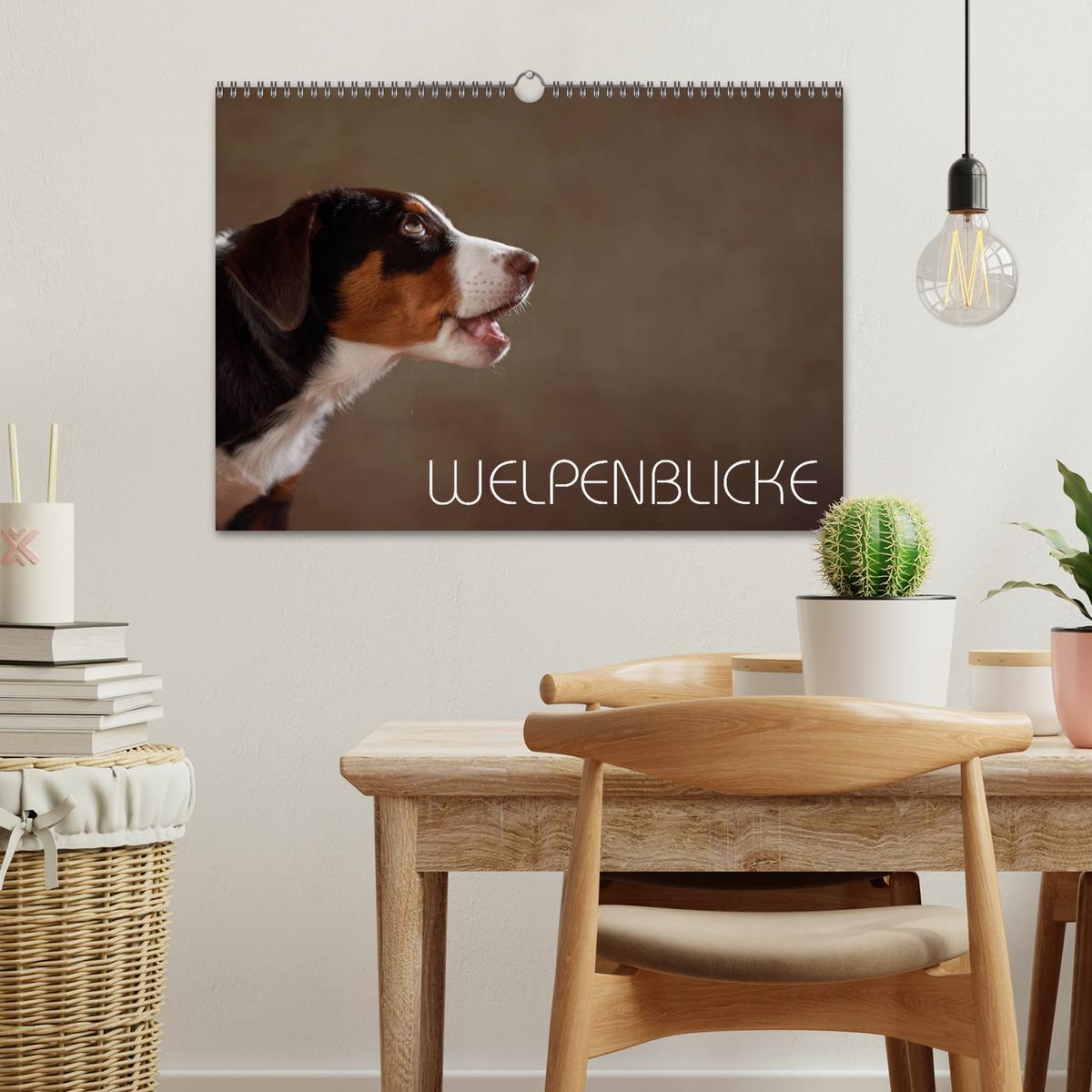 Bild: 9783435437122 | Welpenblicke (Wandkalender 2025 DIN A3 quer), CALVENDO Monatskalender