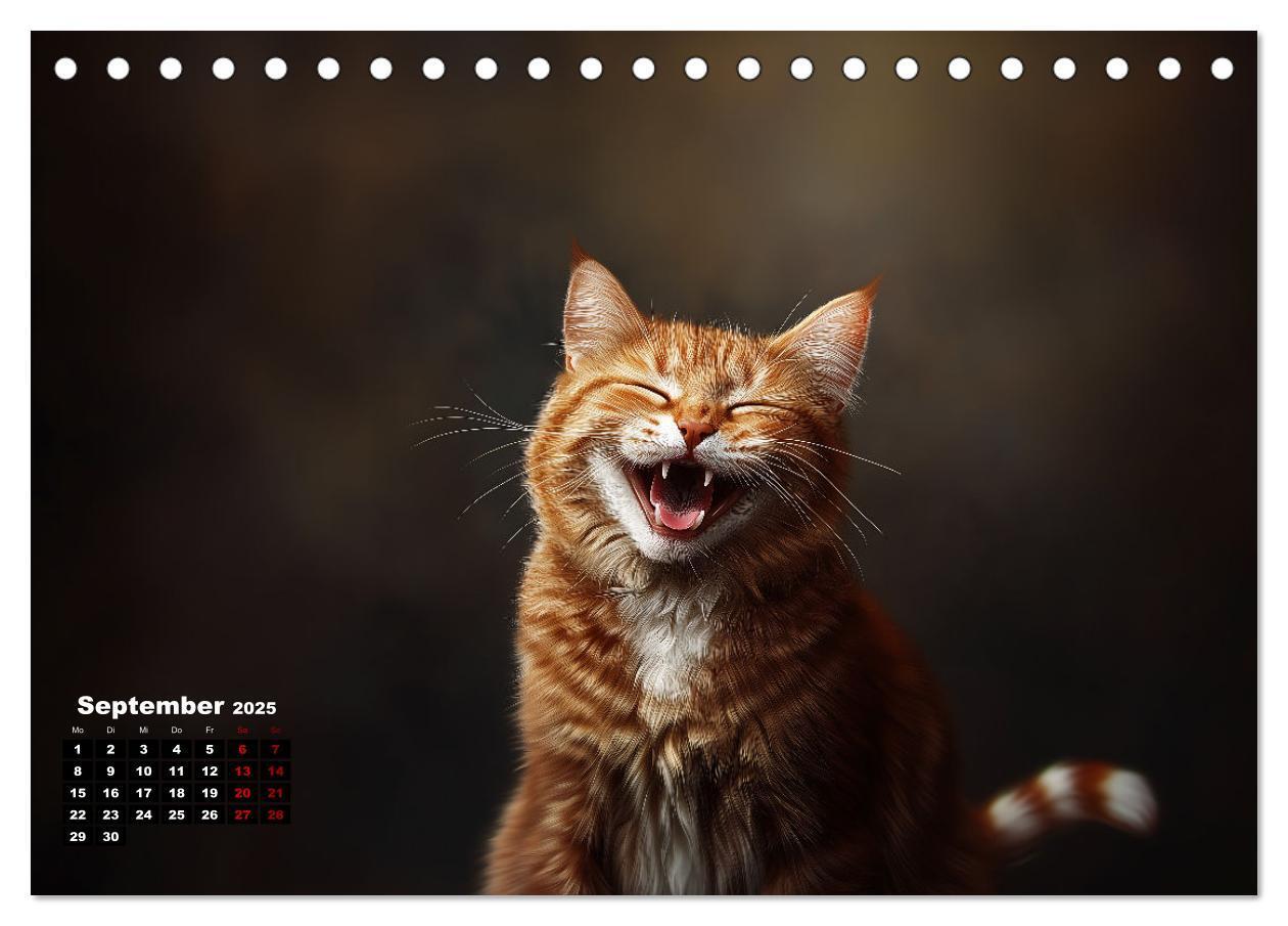 Bild: 9783457202074 | Auch Katzen lachen gern (Tischkalender 2025 DIN A5 quer), CALVENDO...