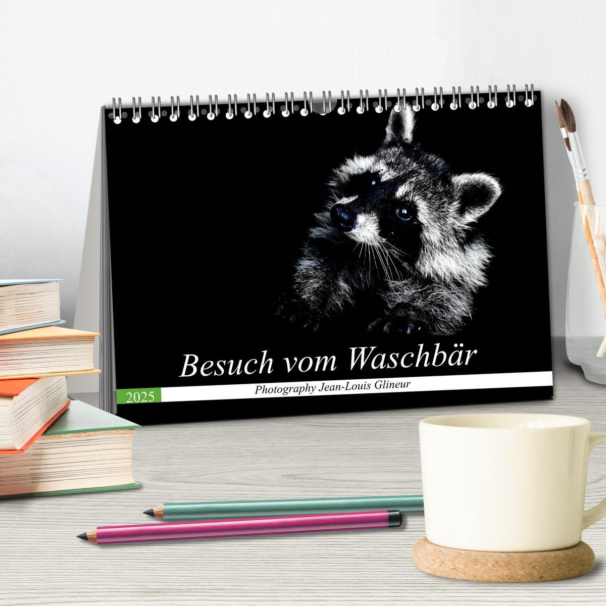 Bild: 9783435228706 | Besuch vom Waschbär (Tischkalender 2025 DIN A5 quer), CALVENDO...