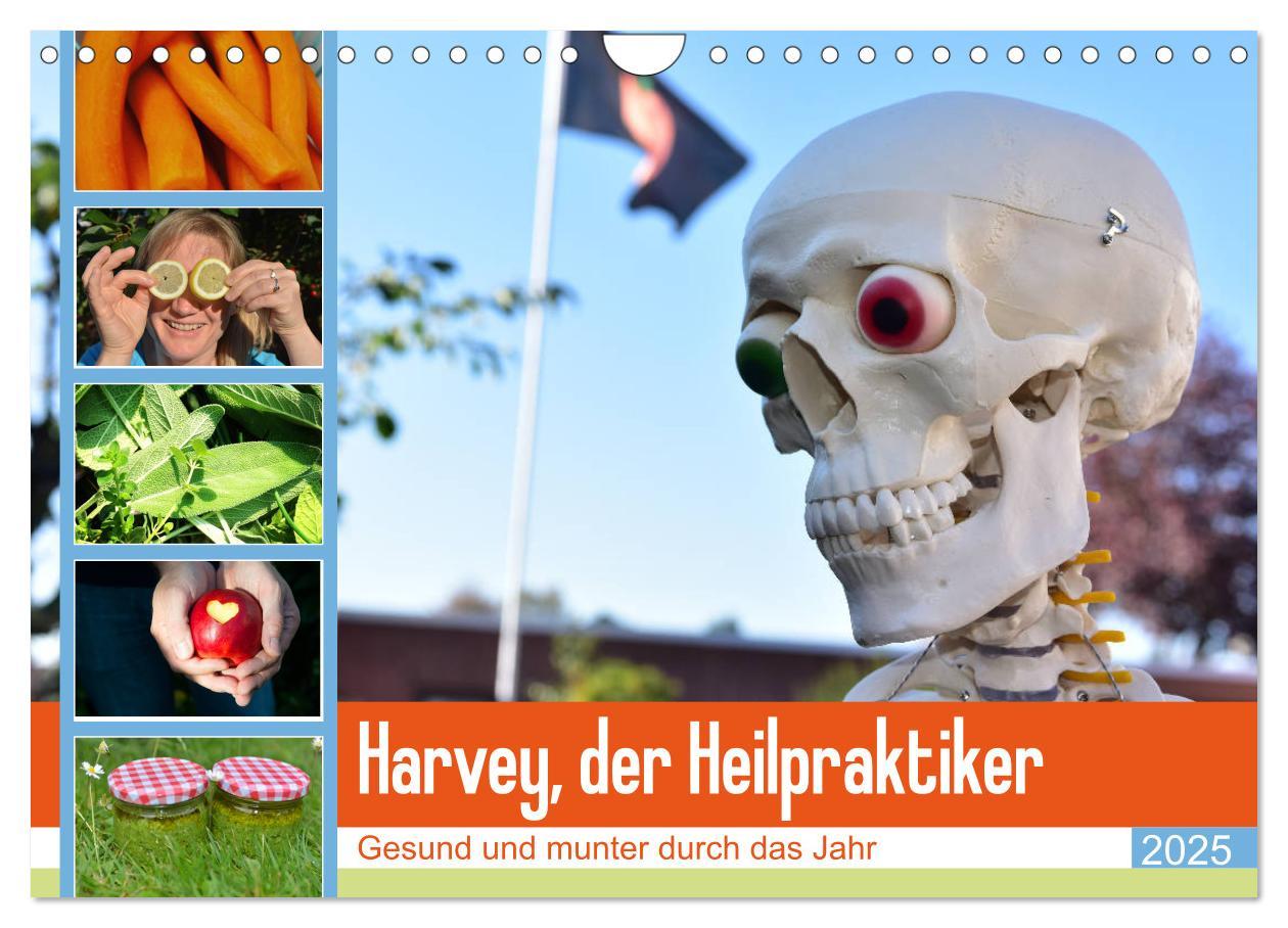 Cover: 9783435279005 | Harvey, der Heilpraktiker (Wandkalender 2025 DIN A4 quer), CALVENDO...