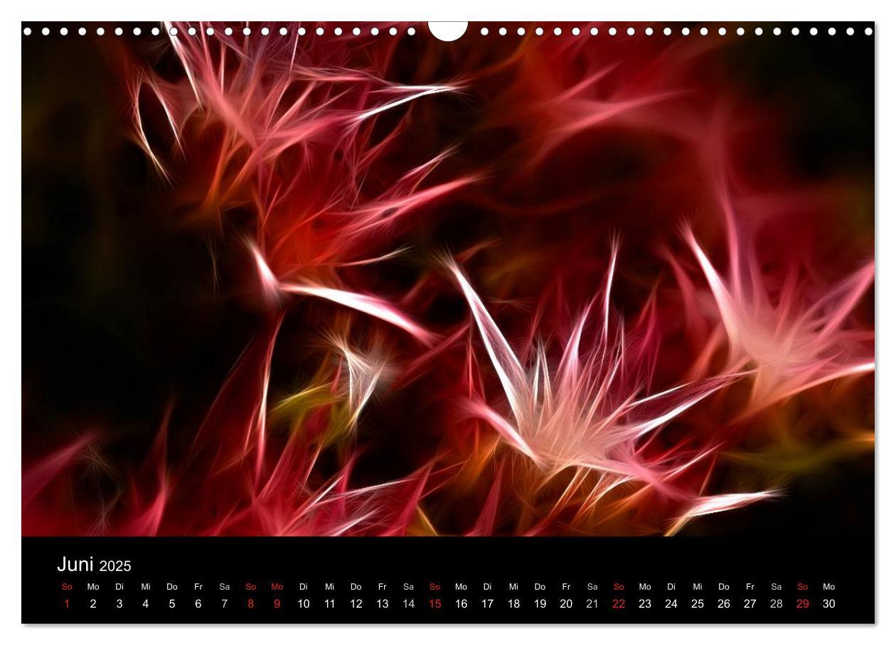 Bild: 9783435771554 | Floral Abstrakt 2025 (Wandkalender 2025 DIN A3 quer), CALVENDO...