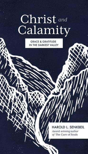 Cover: 9781683594451 | Christ and Calamity: Grace and Gratitude in the Darkest Valley | Buch