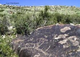 Cover: 9782810623143 | Die Petroglyphen vom Usektal in Kasachstan | Luc Hermann | Taschenbuch