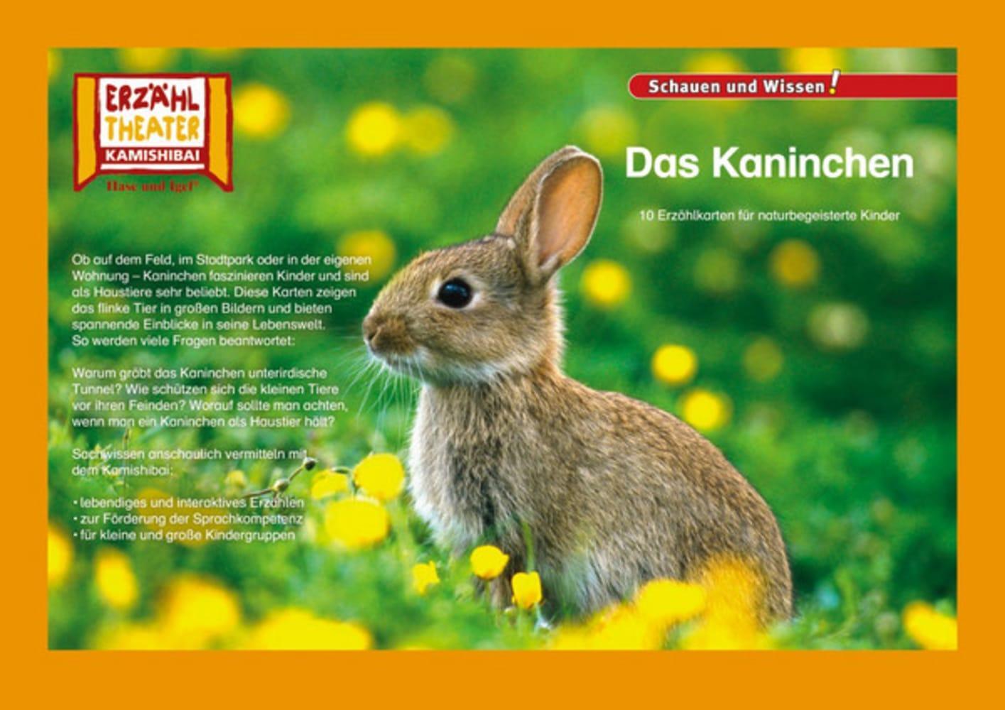 Cover: 4260505830724 | Kamishibai: Das Kaninchen | 10 Fotobildkarten für das Erzähltheater