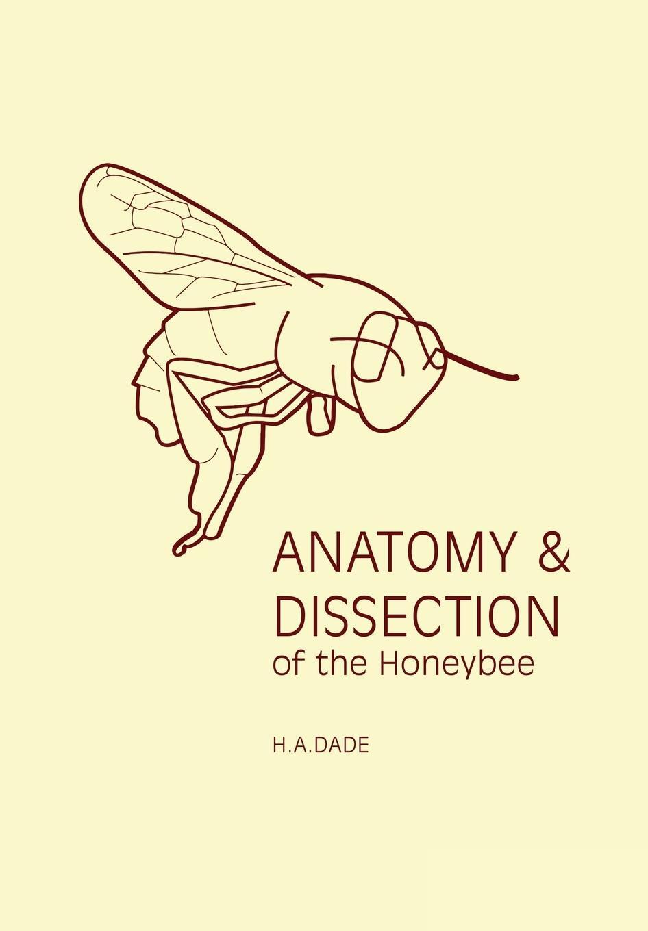 Cover: 9780860982807 | Anatomy and Dissection of the Honeybee | H A Dade | Taschenbuch | 2017