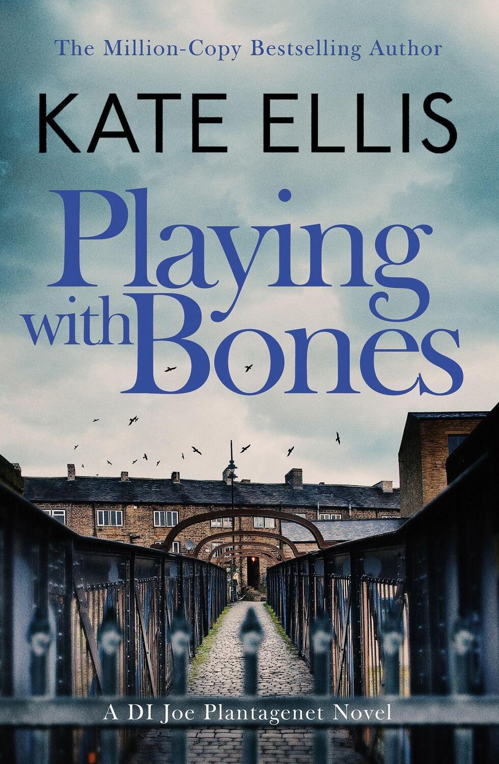 Cover: 9780349434919 | Playing With Bones | Book 2 in the DI Joe Plantagenet crime series