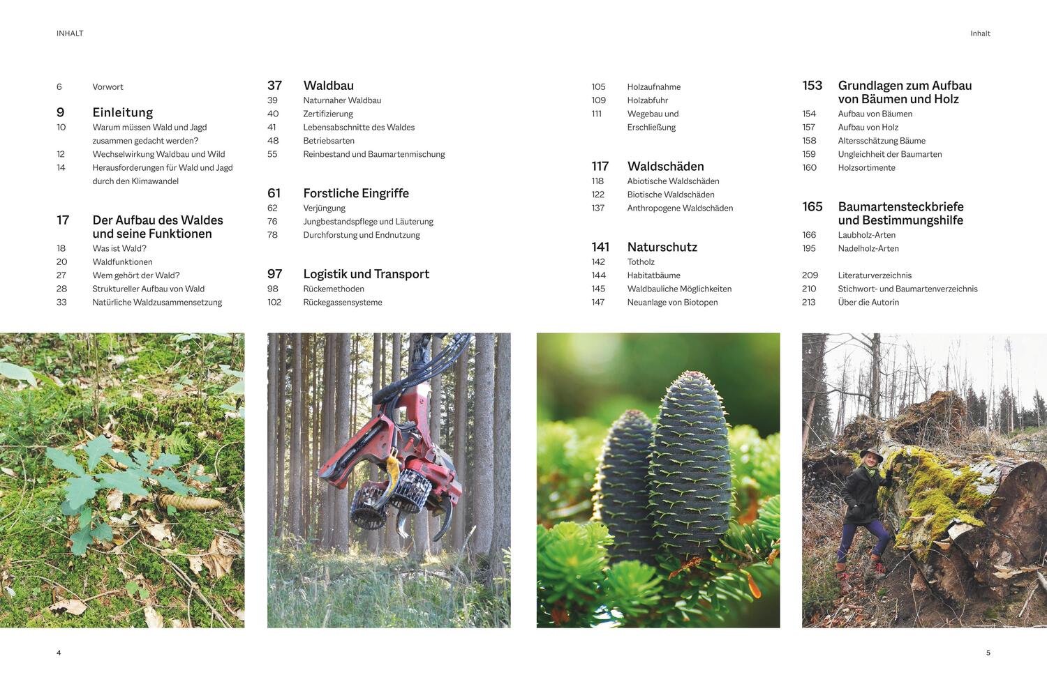 Bild: 9783967471168 | Waldbau für Jäger | Beatrice Jäger | Buch | 216 S. | Deutsch | 2023