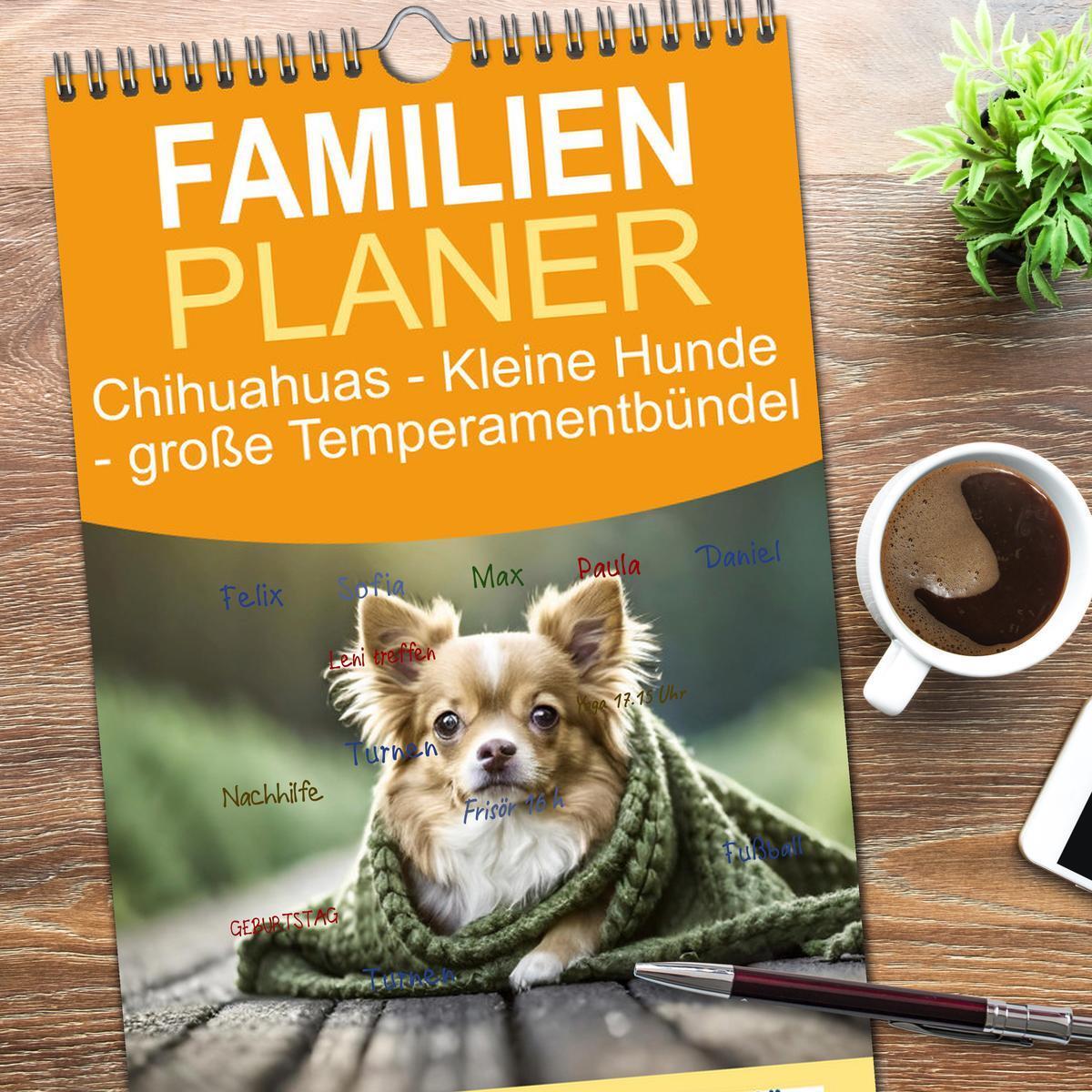 Bild: 9783457190784 | Familienplaner 2025 - Chihuahuas - Kleine Hunde - große...