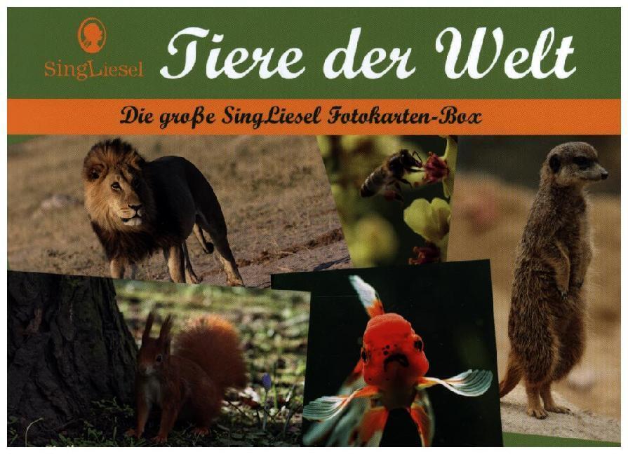 Cover: 4280000809230 | Tiere der Welt - Fotokarten für Senioren | SingLiesel Verlag | Box