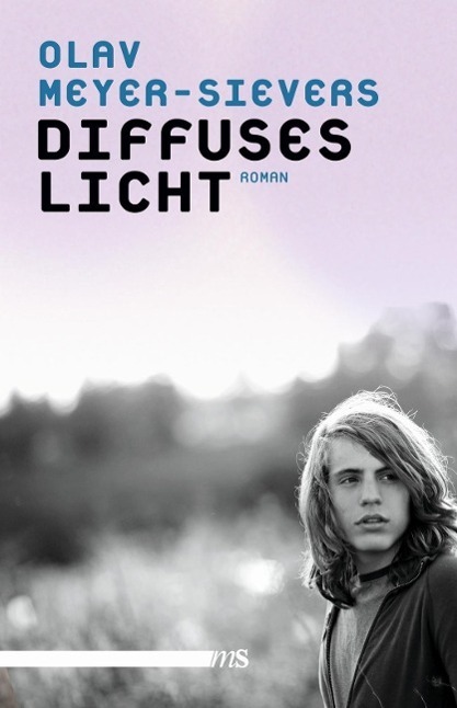 Cover: 9783863001896 | Diffuses Licht | Roman | Olav Meyer-Sievers | Taschenbuch | 240 S.